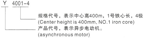 西安泰富西玛Y系列(H355-1000)高压YKS5006-10三相异步电机型号说明